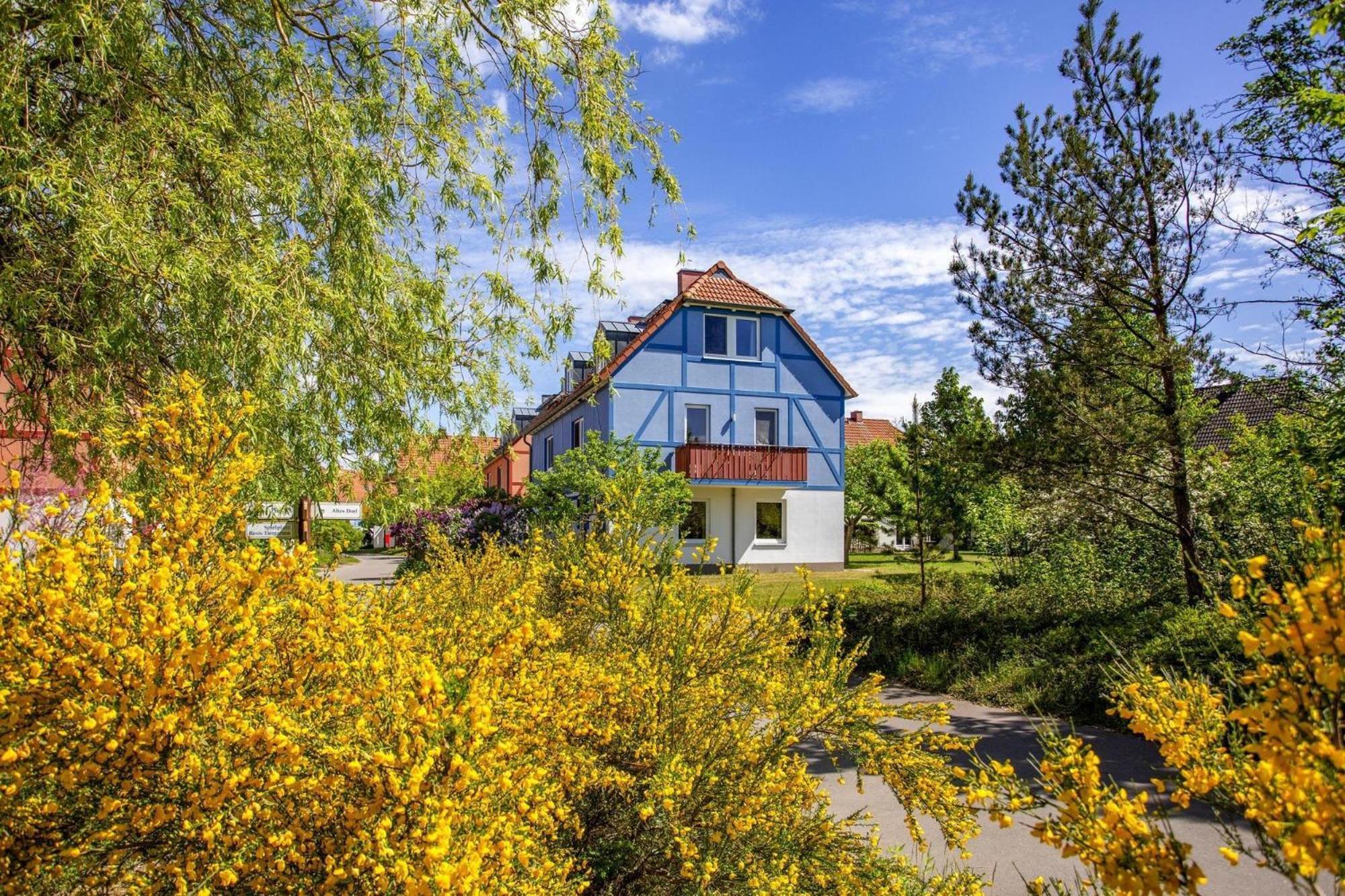Holiday Complex Beech Resort Fleesensee G Hren Lebbin Goehren-Lebbin Exterior photo